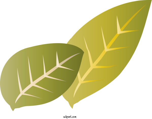 Free Nature Leaf Plant Stem Produce For Plant Clipart Transparent Background
