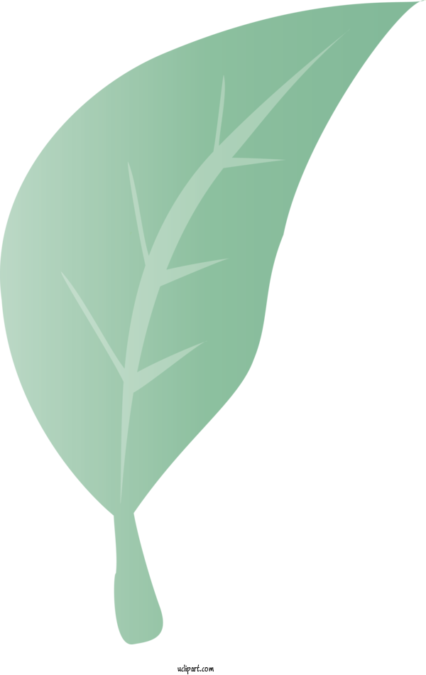 Free Nature Leaf Angle Line For Plant Clipart Transparent Background
