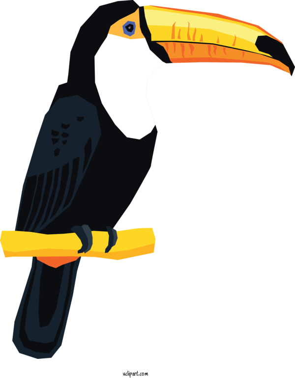 Free Holidays Toucans Adobe Photoshop Design For Brazilian Carnival Clipart Transparent Background