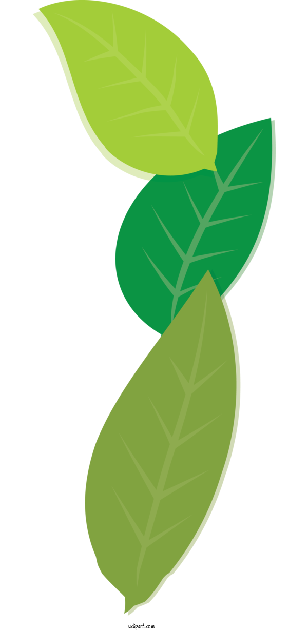 Free Nature Leaf Plant Stem Produce For Plant Clipart Transparent Background