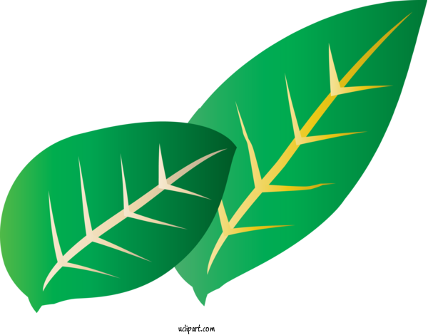Free Nature Leaf Plant Stem Grasses For Plant Clipart Transparent Background