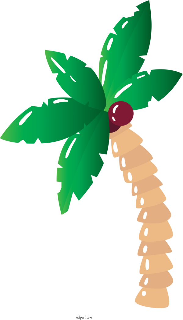 Free Holidays Plant Stem Leaf Flower For Brazilian Carnival Clipart Transparent Background