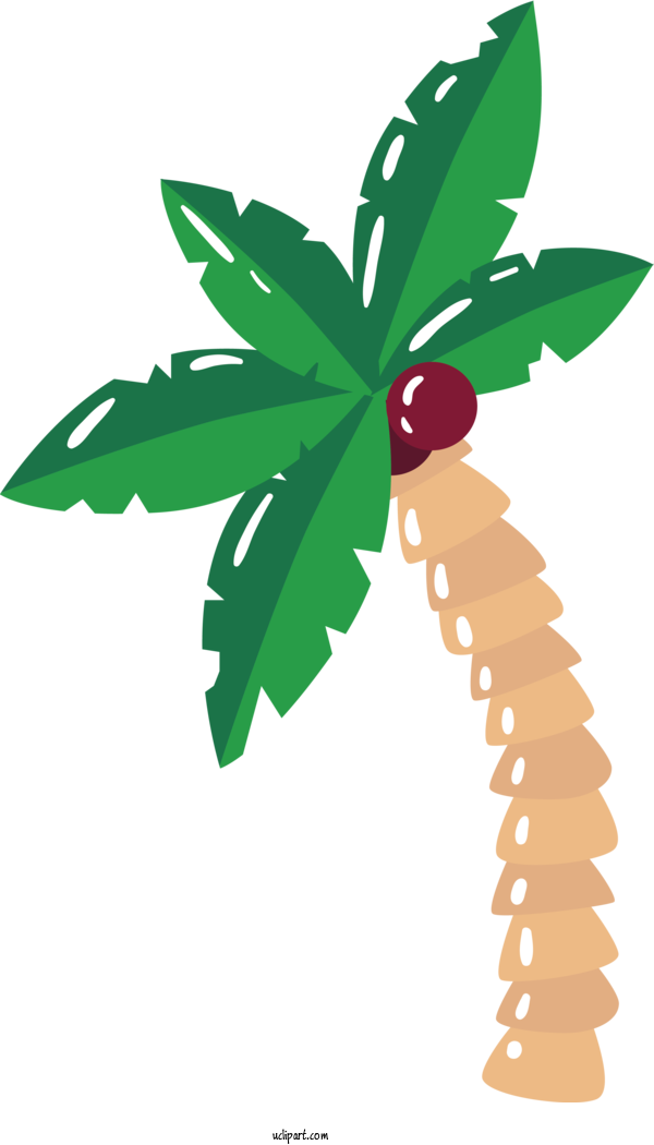 Free Holidays Leaf Plant Stem Flower For Brazilian Carnival Clipart Transparent Background
