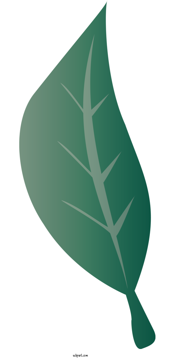 Free Nature Leaf Green Font For Plant Clipart Transparent Background