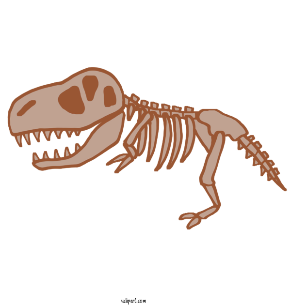 Free Animals Tyrannosaurus Velociraptor Skeleton For Dinosaur Clipart Transparent Background