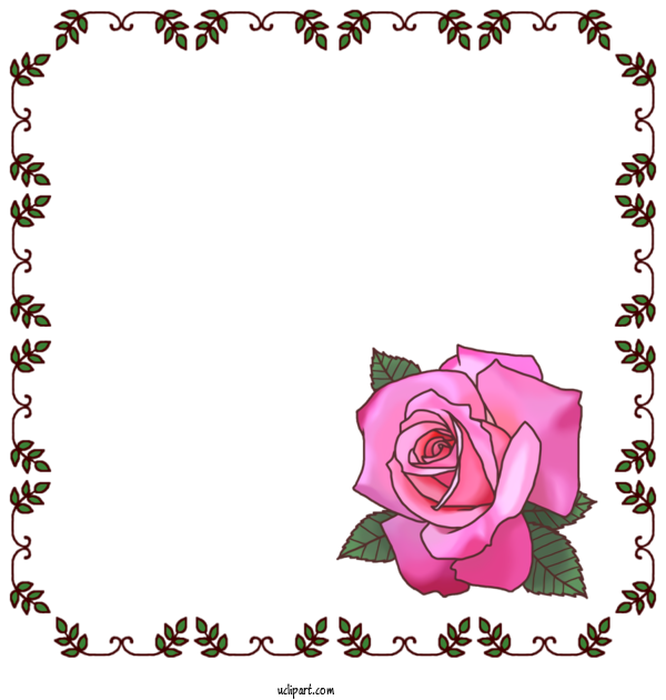 Free School Garden Roses Rose Floral Design For Kindergarten Clipart Transparent Background