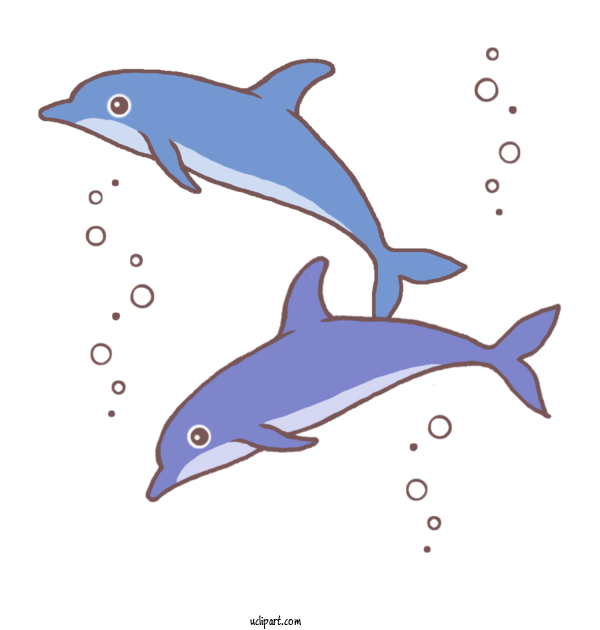 Free Nature Short Beaked Common Dolphin Dolphin Rough Toothed Dolphin For Ocean Clipart Transparent Background