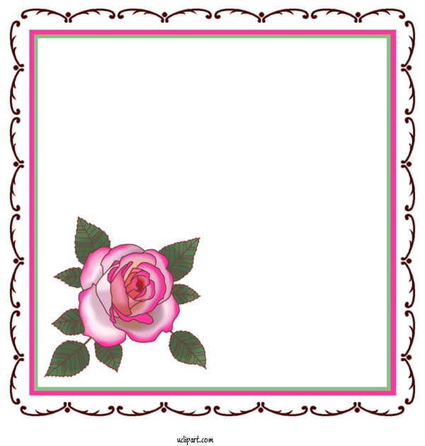 Free School Garden Roses Floral Design Cut Flowers For Kindergarten Clipart Transparent Background