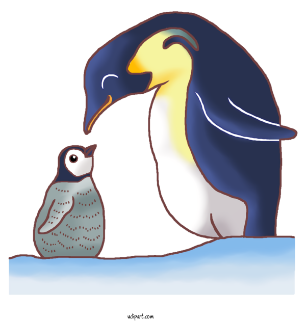 Free Nature King Penguin Penguins Sea For Ocean Clipart Transparent Background