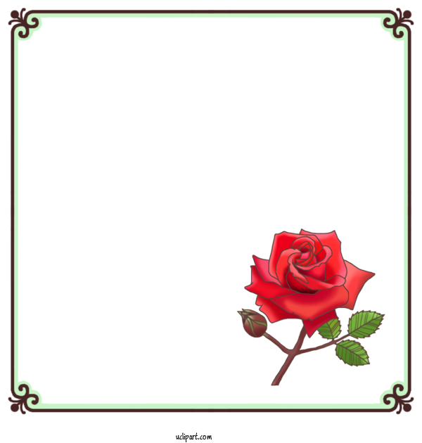 Free School Garden Roses Design Floral Design For Kindergarten Clipart Transparent Background