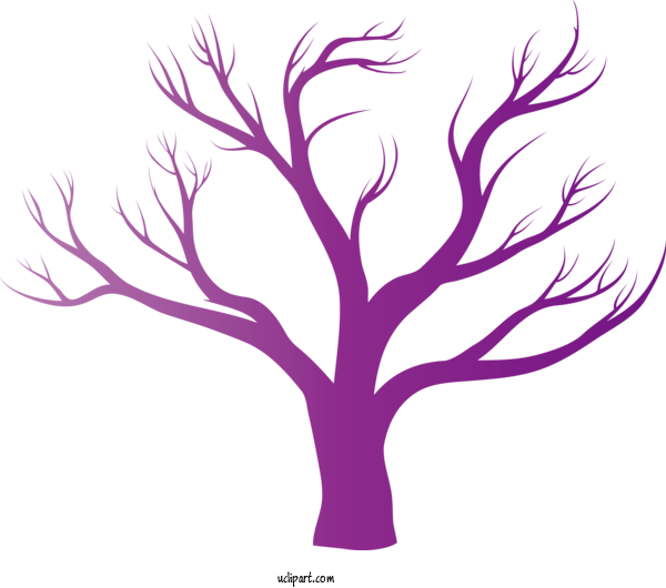 Free Nature Tree Family Tree For Tree Clipart Transparent Background