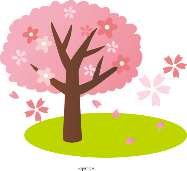 Free Flowers Cherry Blossom Musashino Park カノンミュージックスクール For Sakura Clipart Transparent Background