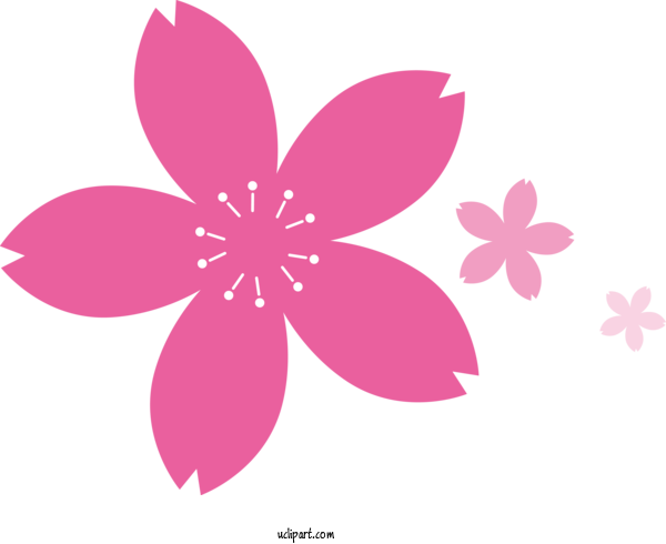 Free Flowers Drawing Mutsumi Kindergarten Design For Sakura Clipart Transparent Background
