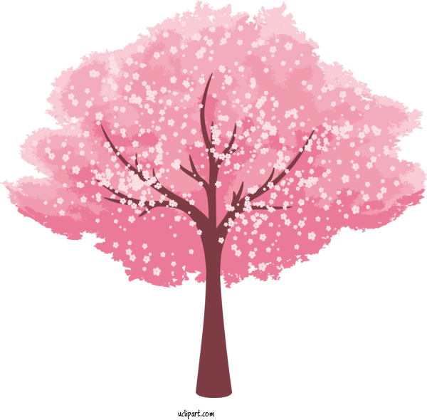 Free Flowers Cherry Blossom Cartoon National Cherry Blossom Festival For Sakura Clipart Transparent Background