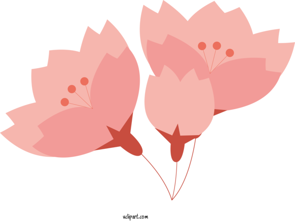 Free Flowers Floral Design Design Leaf For Sakura Clipart Transparent Background