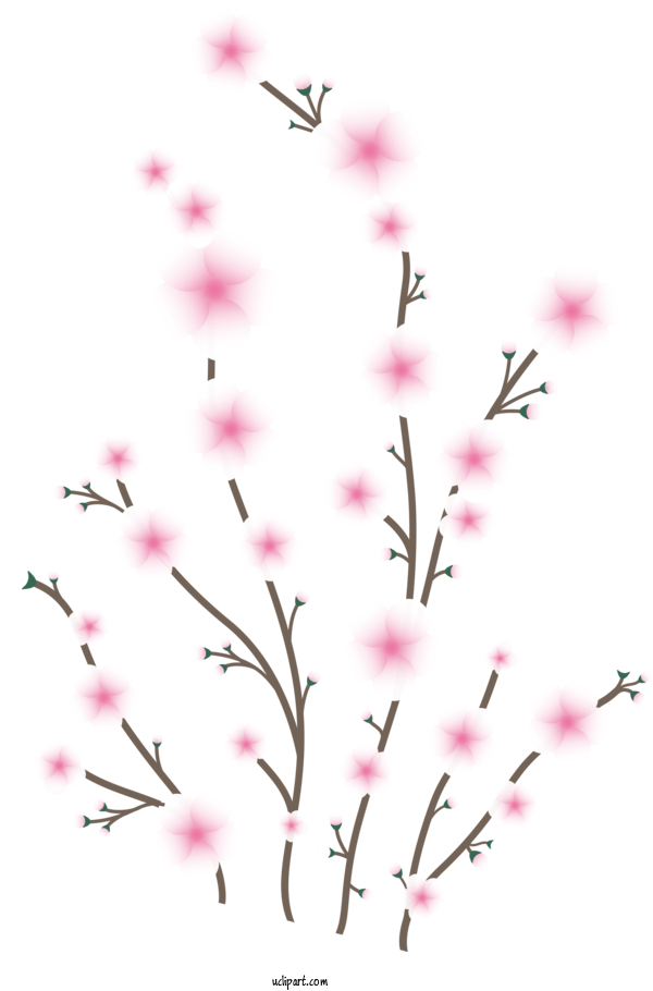 Free Flowers Twig ST.AU.150 MIN.V.UNC.NR AD Plant Stem For Sakura Clipart Transparent Background