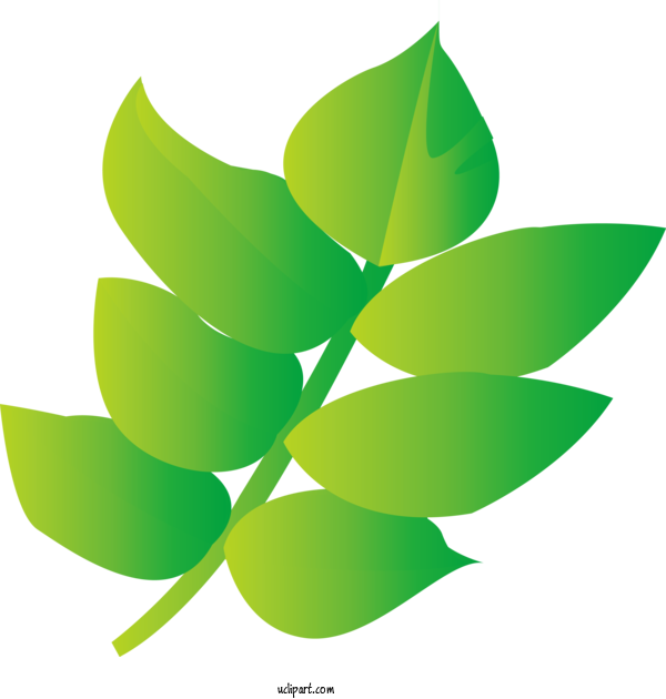 Free Nature Leaf Plant Stem Flower For Plant Clipart Transparent Background