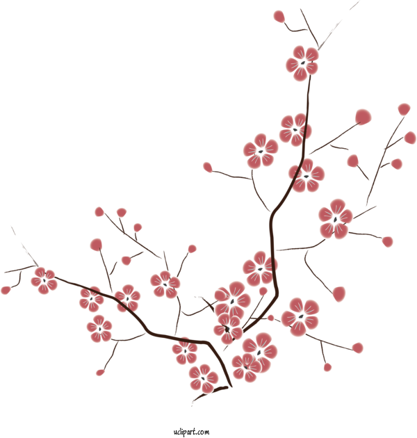 Free Flowers Twig Plant Stem ST.AU.150 MIN.V.UNC.NR AD For Sakura Clipart Transparent Background