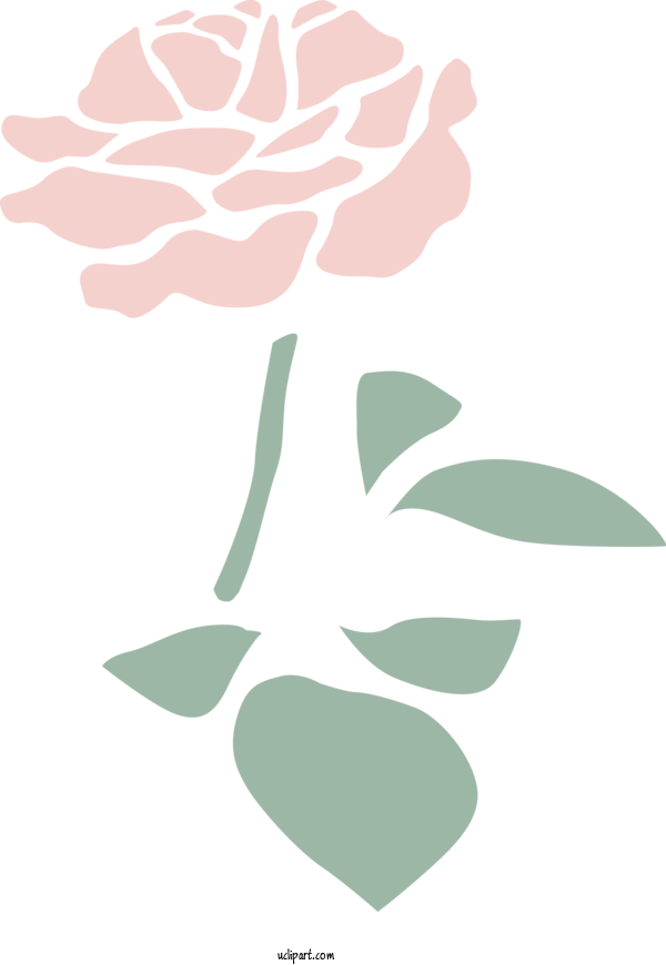 Free Nature Rose Family Plant Stem Leaf For Plant Clipart Transparent Background