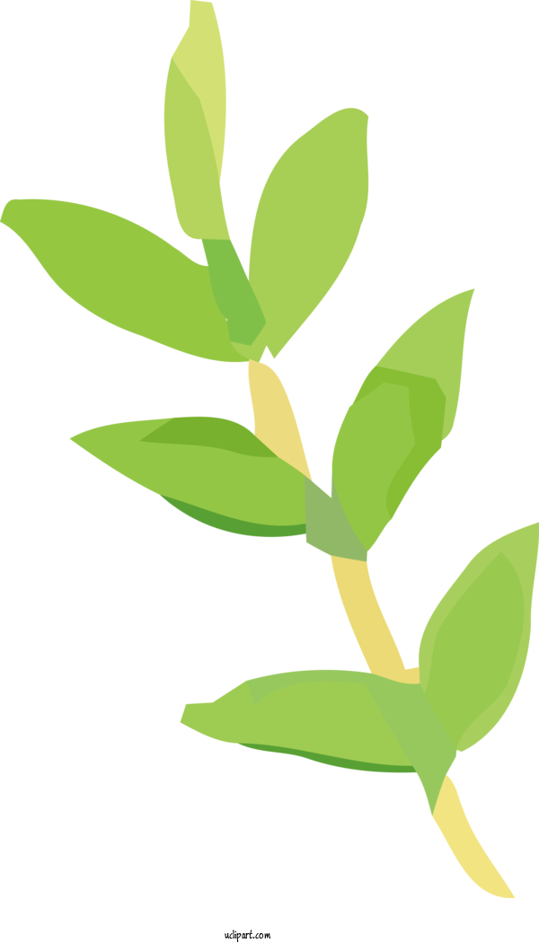 Free Nature Branch Plant Stem Leaf For Plant Clipart Transparent Background