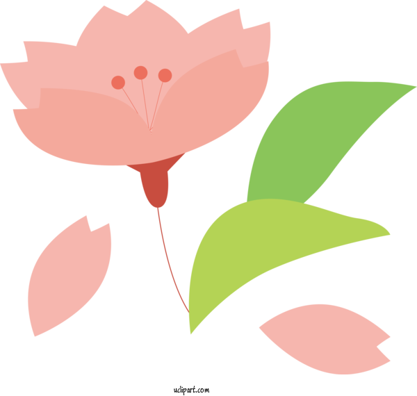 Free Flowers Plant Stem Petal Leaf For Sakura Clipart Transparent Background