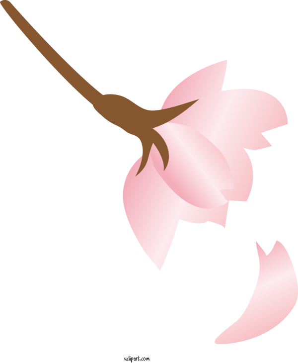 Free Flowers Petal Pink M Pollinator For Sakura Clipart Transparent Background
