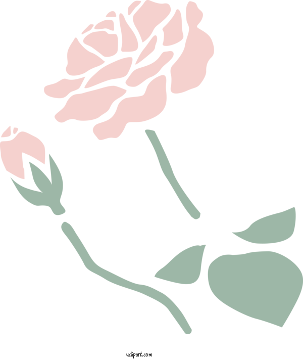 Free Nature Rose Family Plant Stem Floral Design For Plant Clipart Transparent Background