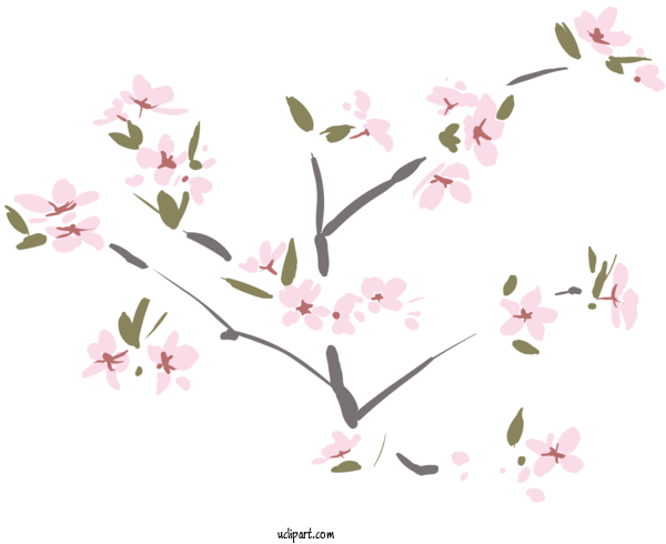 Free Flowers Floral Design Plant Stem Cherry Blossom For Sakura Clipart Transparent Background