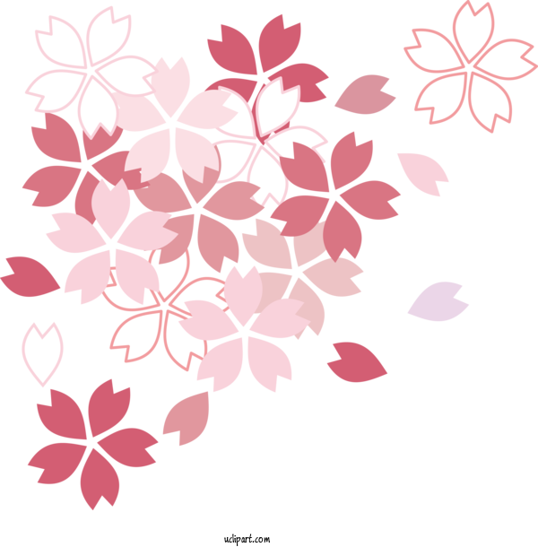 Free Flowers Cherry Blossom サントリー ジャポネ 500ml Kawazu For Sakura Clipart Transparent Background