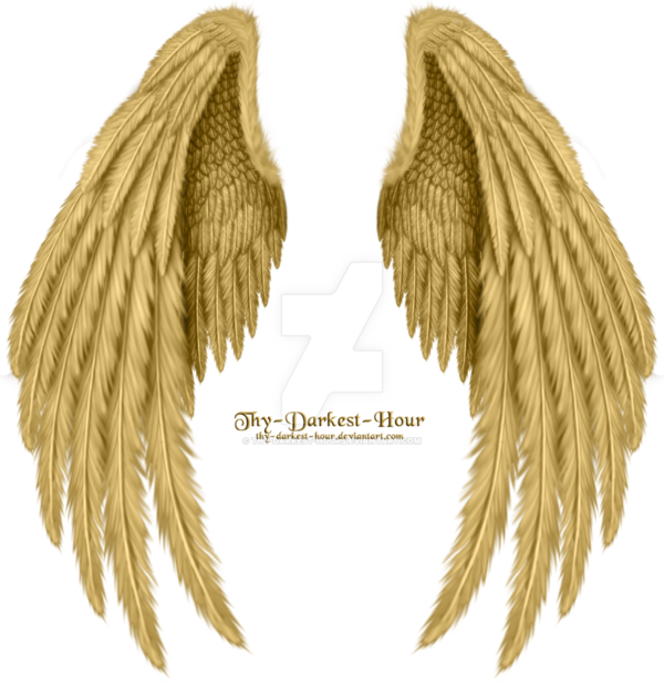 Free Angel Wing Angel Neck Clipart Clipart Transparent Background