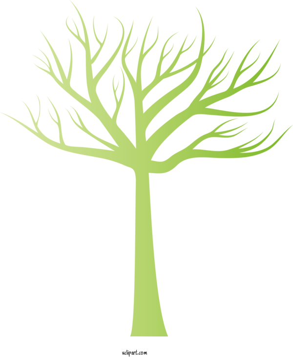 Free Nature Branch  Tree For Tree Clipart Transparent Background