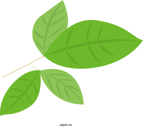 Free Nature Leaf Plant Stem Green For Plant Clipart Transparent Background