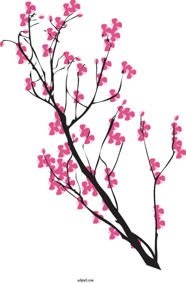 Free Flowers Cherry Blossom Floral Design Plant Stem For Sakura Clipart Transparent Background