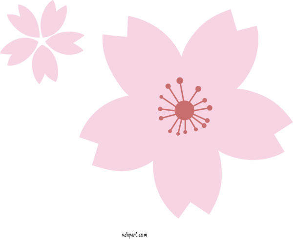 Free Flowers Petal Floral Design Pattern For Sakura Clipart Transparent Background