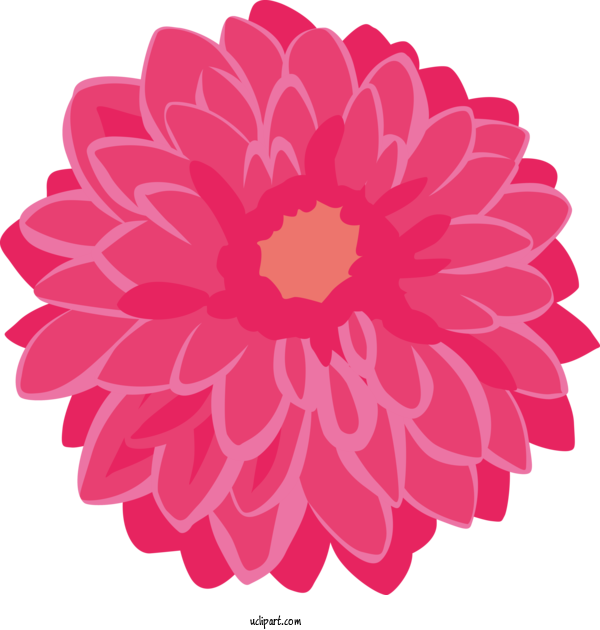 Free Nature Dahlia Transvaal Daisy Chrysanthemum For Plant Clipart Transparent Background