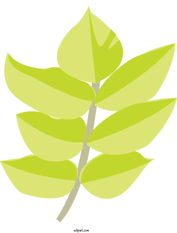 Free Nature Plant Stem Leaf Green For Plant Clipart Transparent Background
