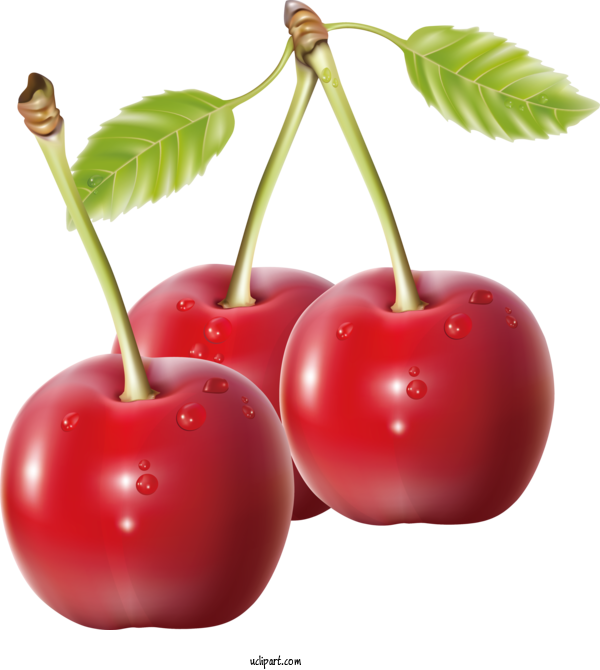 Free Food Cherry Pie Cherry Drawing For Fruit Clipart Transparent Background