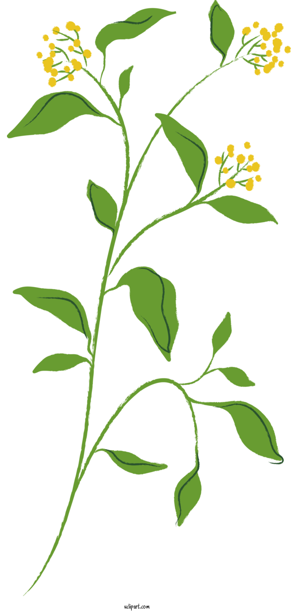 Free Nature Plant Stem Design Logo For Plant Clipart Transparent Background