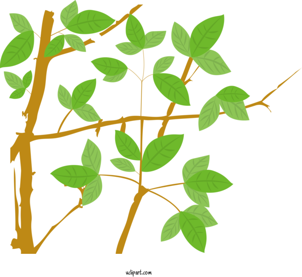 Free Nature Twig Leaf Plant Stem For Plant Clipart Transparent Background