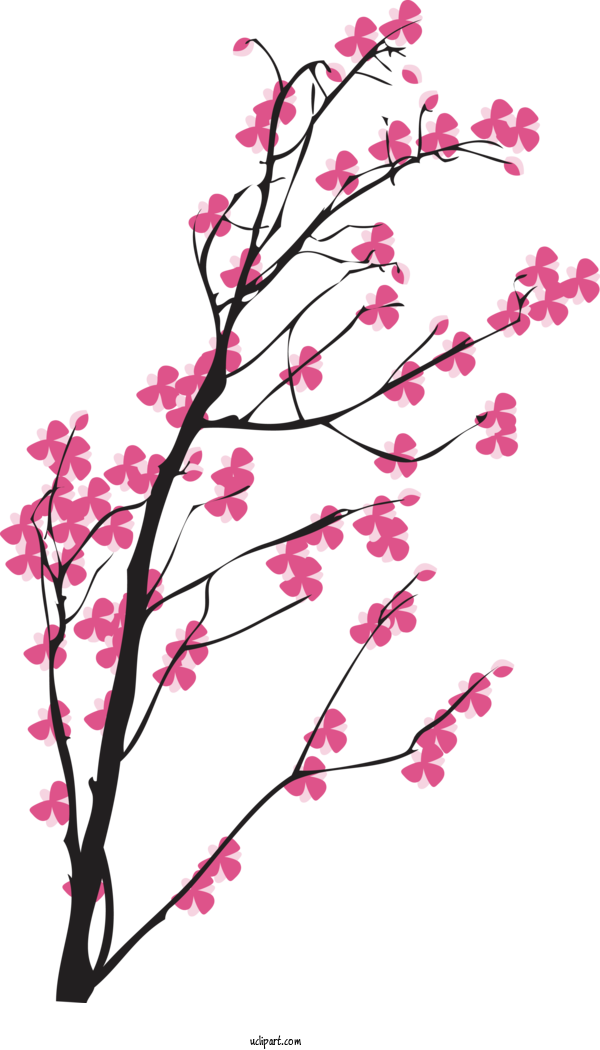 Free Flowers Cherry Blossom Wedding Invitation Wedding For Sakura Clipart Transparent Background