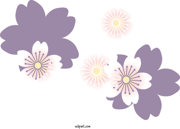 Free Flowers Floral Design Design Cherry Blossom For Sakura Clipart Transparent Background