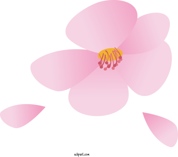 Free Flowers Petal Pink M Font For Sakura Clipart Transparent Background