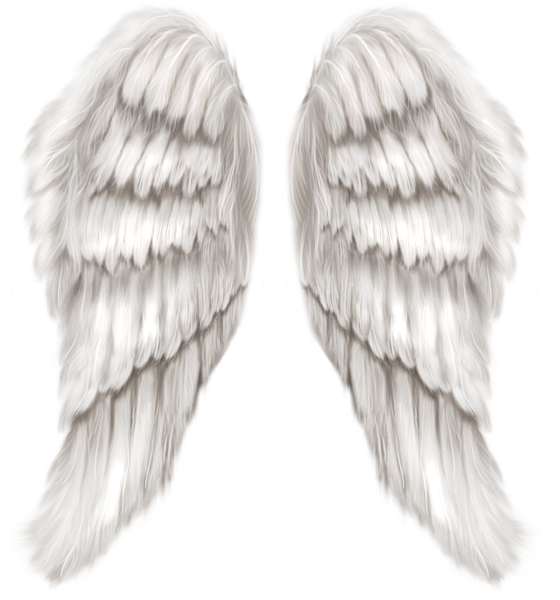 Free Angel Fur Wing Feather Clipart Clipart Transparent Background
