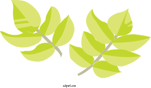 Free Nature Leaf Plant Stem Branch For Plant Clipart Transparent Background