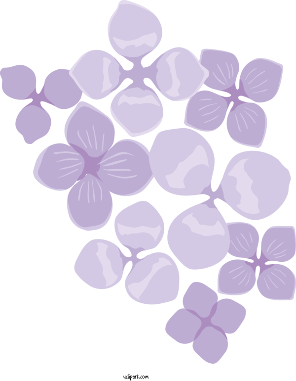 Free Nature Pattern Petal Purple For Plant Clipart Transparent Background