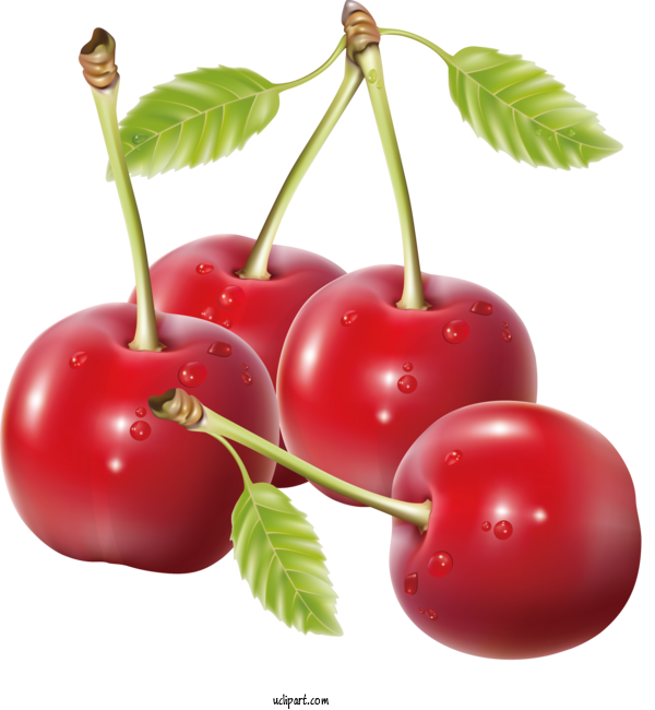 Free Food Barbados Cherry Cherry Natural Foods For Fruit Clipart Transparent Background