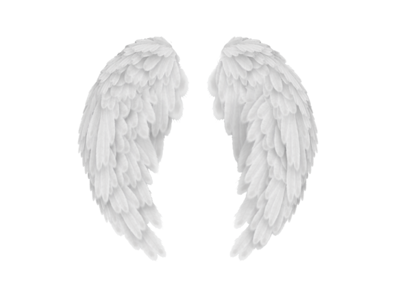 Free Angel Wing Black And White Earrings Clipart Clipart Transparent Background