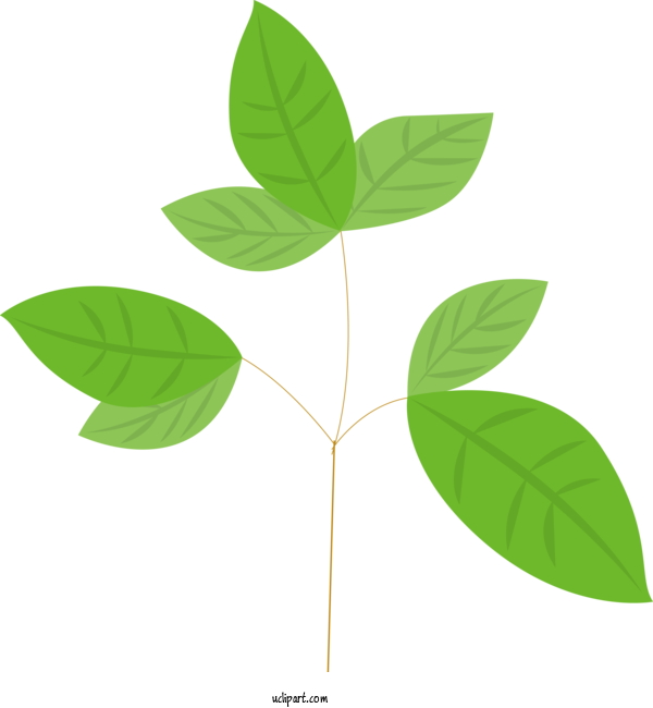 Free Nature Leaf Plant Stem Branch For Plant Clipart Transparent Background