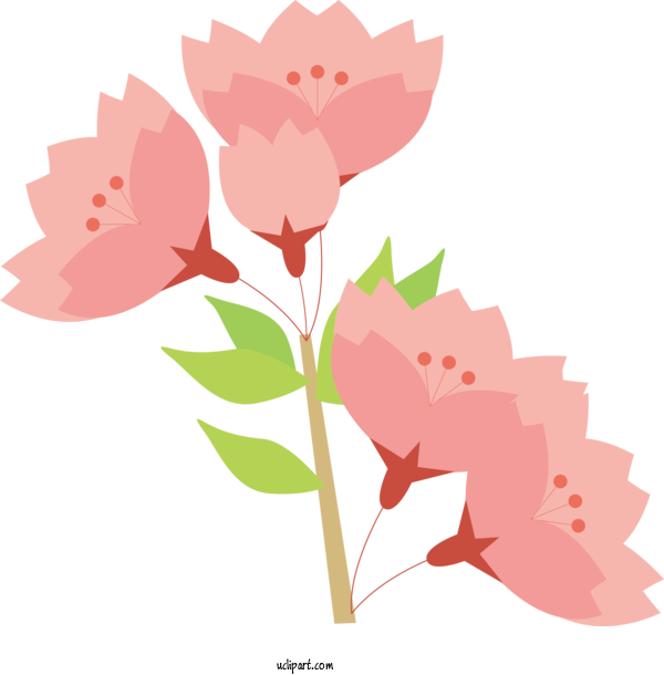 Free Flowers Nara Floral Design For Sakura Clipart Transparent Background
