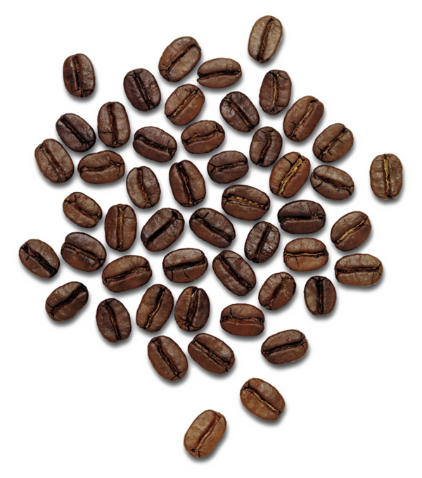 Free Chocolate Nuts Seeds Cocoa Bean Nut Clipart Clipart Transparent Background